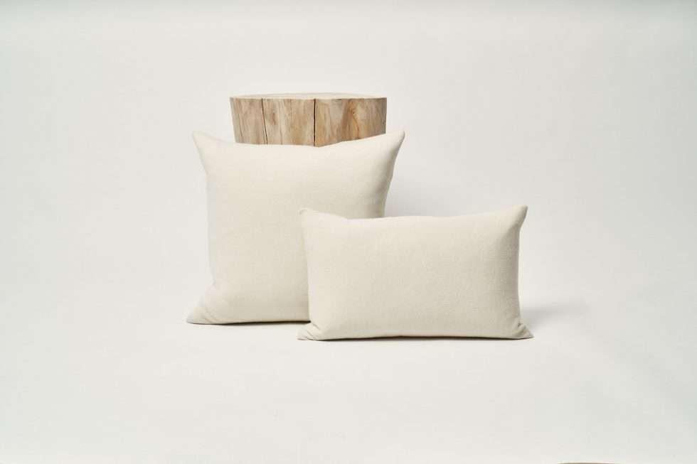 Puree cashmere capsule 2 produits 101