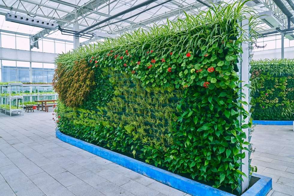 Upuper usine serre production chine 061