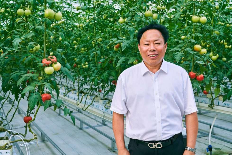 Upuper usine serre production chine 171