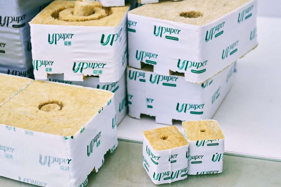 Upuper usine serre production chine 371