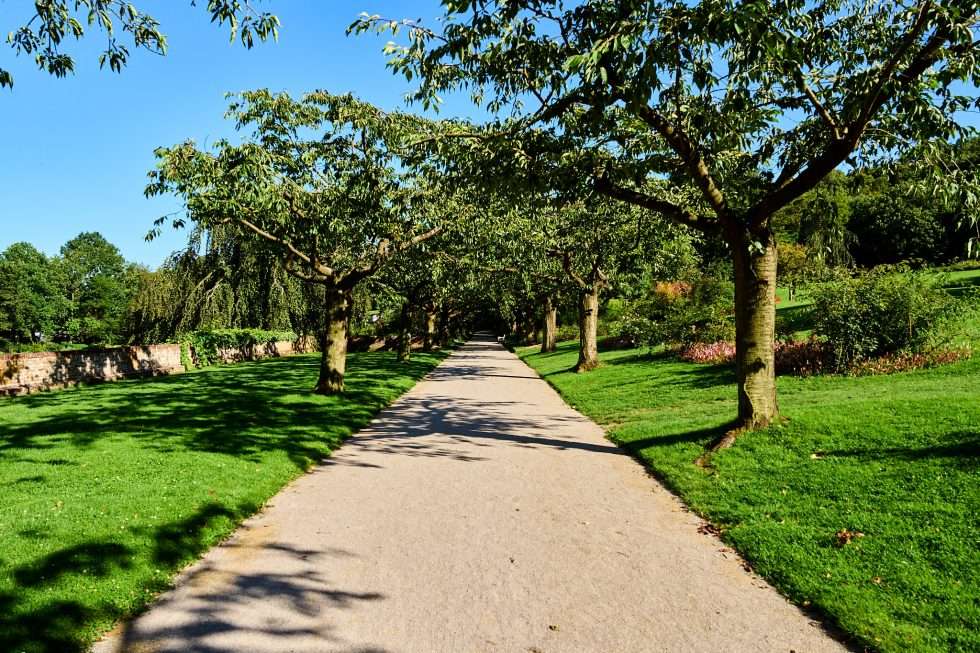 Jardin et abbaye Valloires 220