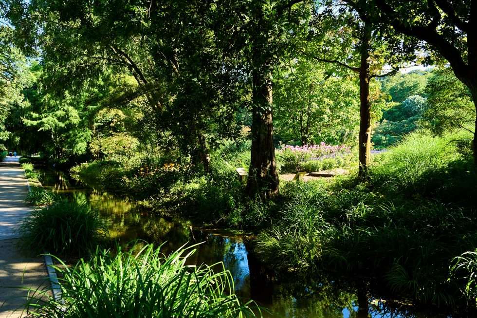 Jardin et abbaye Valloires 230