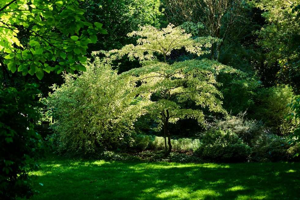 Jardin et abbaye Valloires 250