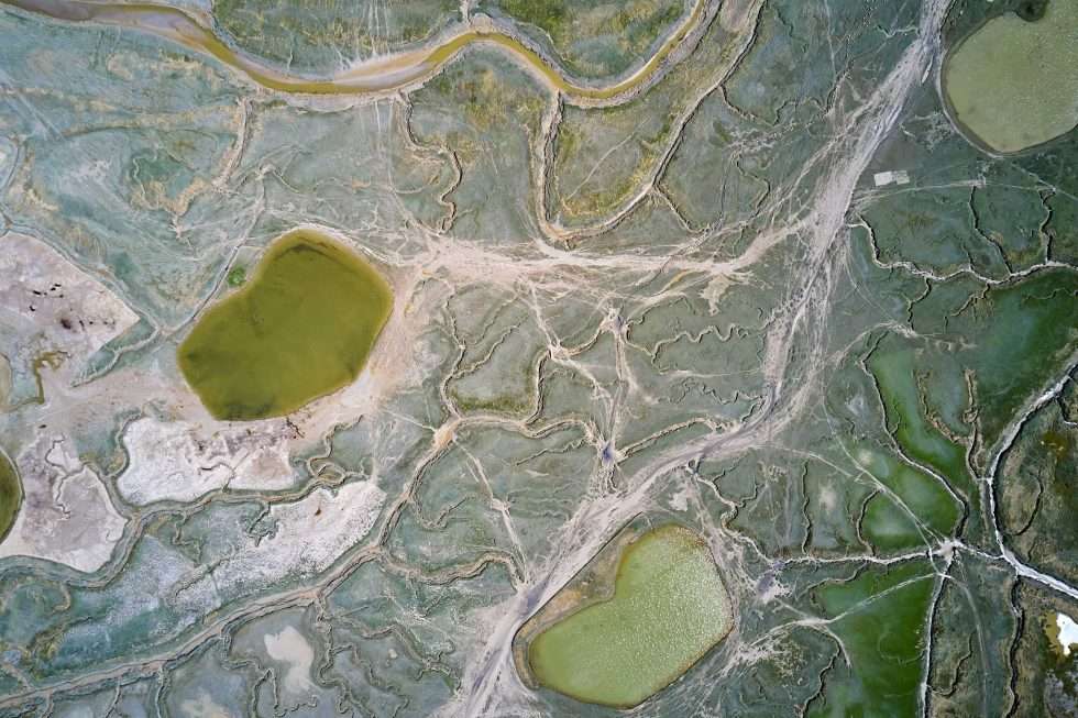 Saint Valery sur somme 025